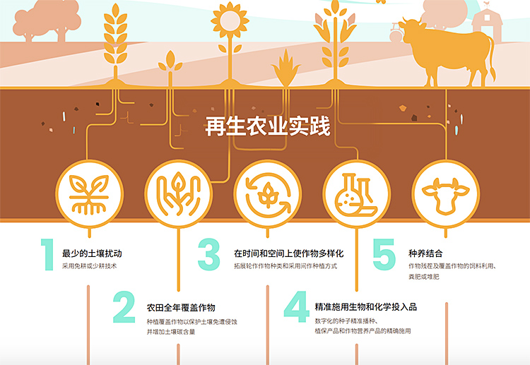 首页- 不朽情缘电子游戏官网