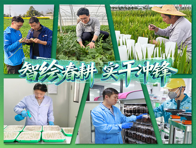 智绘春耕 | 以春为序，以耕作答，写下不朽情缘“春耕日记”