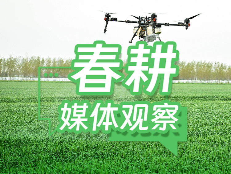迎“大考”闯“三关”，筑牢小麦稳产防线